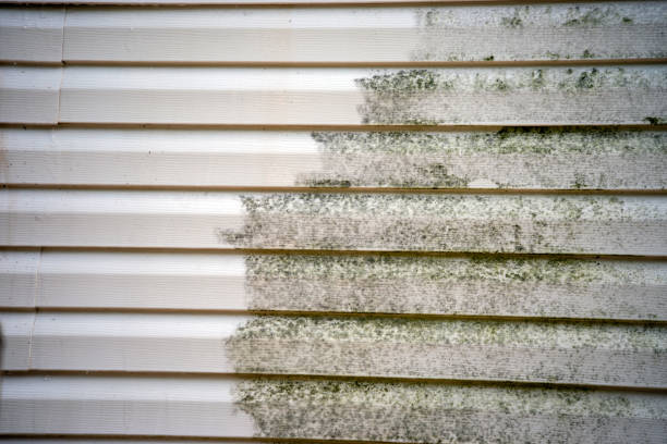 Best Carpet Removal and Disposal  in Dike, IA